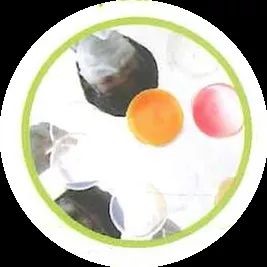 1586242218157307.jpg 201922816347757.jpg